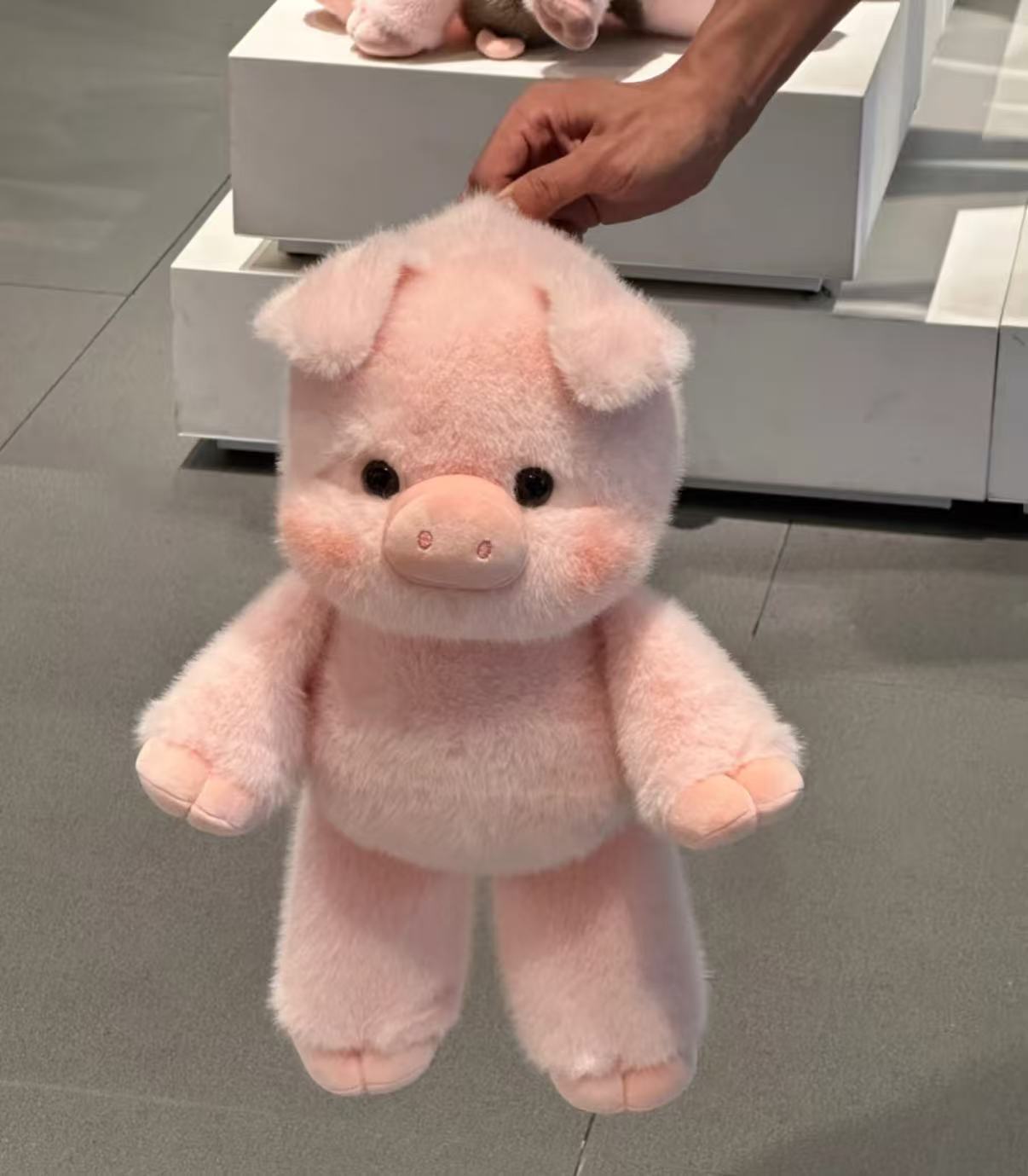 🎁🎁בובת פרווה חמודה של פר היילנד רכה