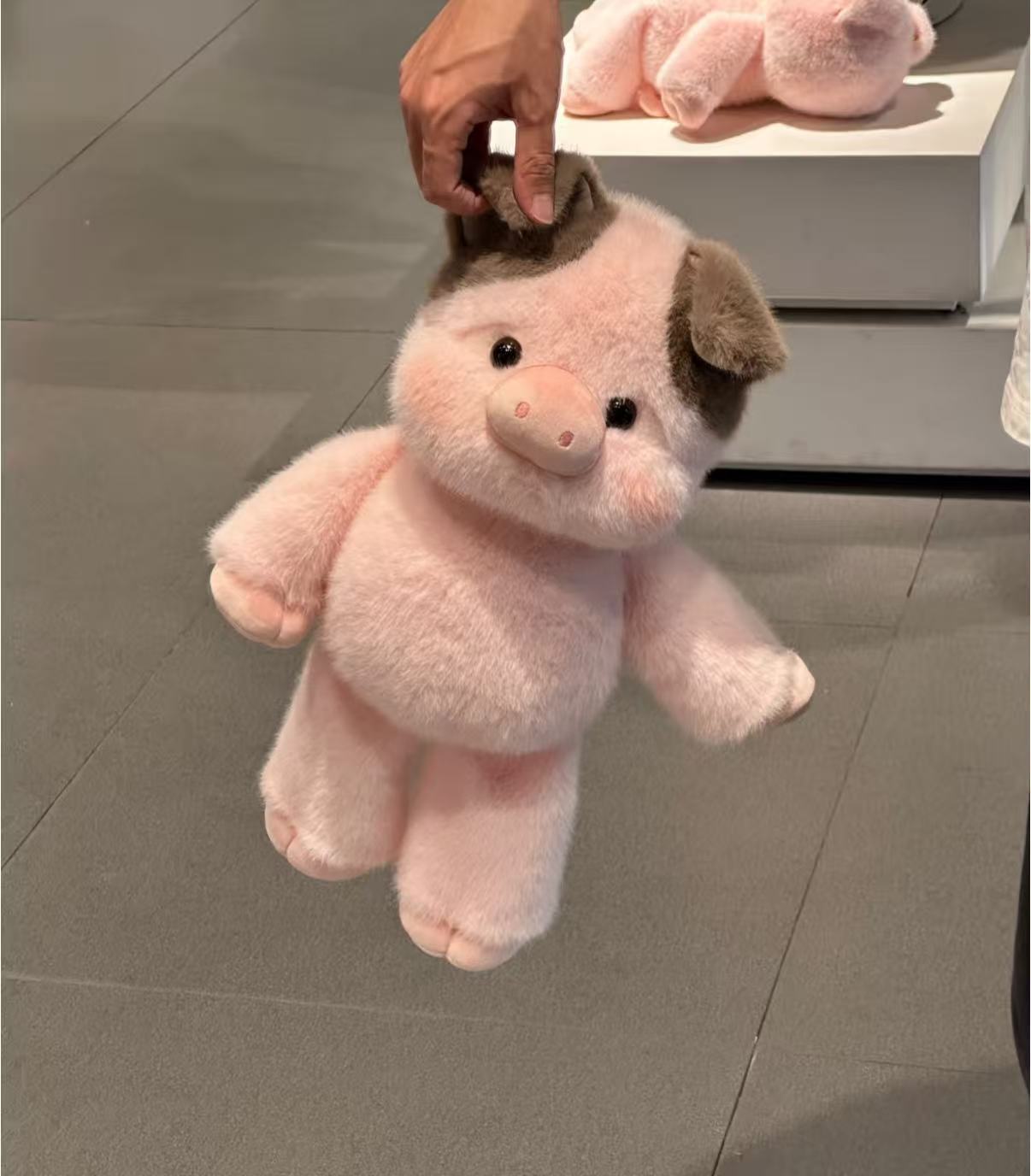 🎁🎁בובת פרווה חמודה של פר היילנד רכה