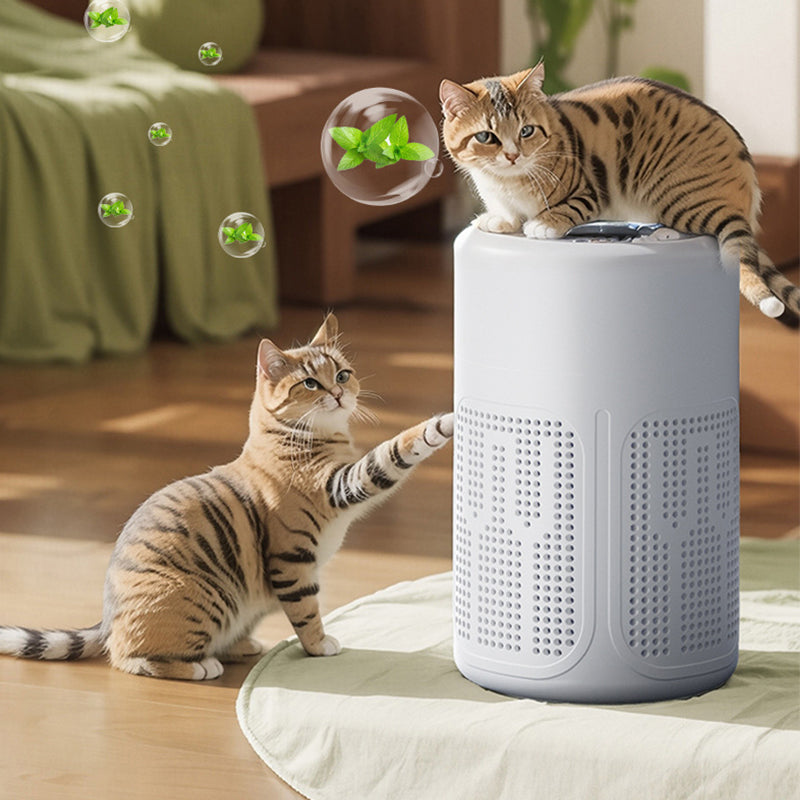 ✨🌬️ Purificador de ar doméstico – ar mais limpo e saudável para toda a família