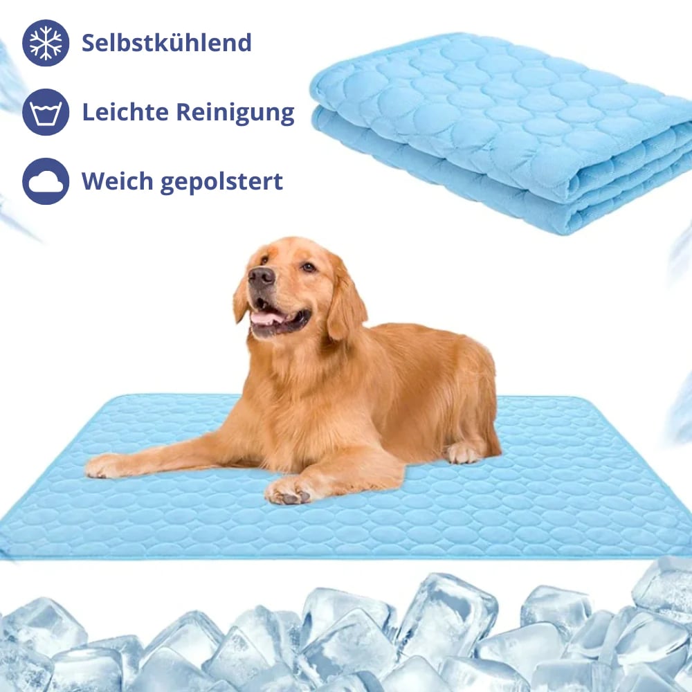 🐶🐈 מזרן קירור לכלבים וחתולים לקיץ 🐶🐈