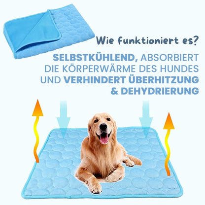 🐶🐈 מזרן קירור לכלבים וחתולים לקיץ 🐶🐈