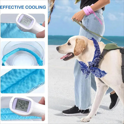 🐾 צווארון קירור לחיות מחמד לקיץ | טכנולוגיית קירור טבעית 🌊❄️